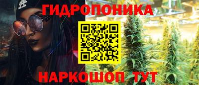 дживик Ливны