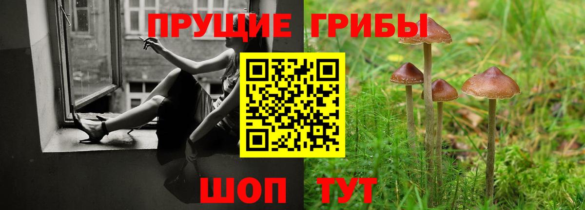 Орехово-Зуево  Псилоцибиновые грибы Psilocybe  Псилоцибиновые грибы Psilocybe  Вход с VPN 